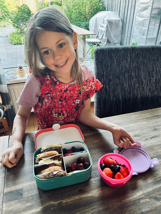 girl in red dress with healthy lunchbox: berries, sandwich with turkey