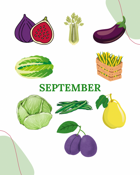 september: pear, fig, celery, eggplant, cabbage